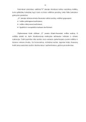 Įmonės finansinė-ūkinė veikla 14 puslapis