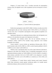 Įmonės finansinė-ūkinė veikla 20 puslapis