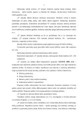 Įmonės finansinė-ūkinė veikla 5 puslapis