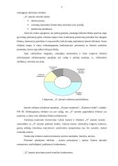 Įmonės finansinė-ūkinė veikla 6 puslapis