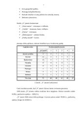 Įmonės finansinė-ūkinė veikla 7 puslapis