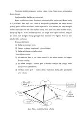 Vieno atvejo analizė remiantis socialinio tinklo intervencijos metodais 3 puslapis
