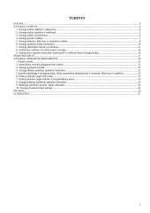 Atsargų auditas ir apskaita 2 puslapis