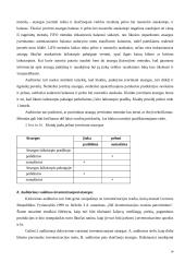 Atsargų auditas ir apskaita 14 puslapis