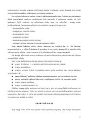 Atsargų auditas ir apskaita 17 puslapis