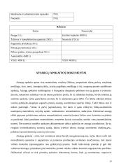 Atsargų auditas ir apskaita 20 puslapis