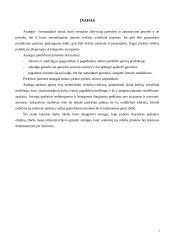 Atsargų auditas ir apskaita 3 puslapis