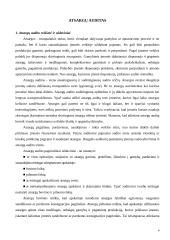 Atsargų auditas ir apskaita 4 puslapis