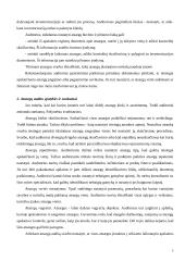 Atsargų auditas ir apskaita 5 puslapis