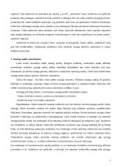 Atsargų auditas ir apskaita 6 puslapis