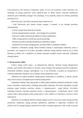 Atsargų auditas ir apskaita 7 puslapis