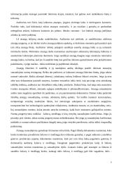 Atsargų auditas ir apskaita 9 puslapis