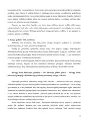 Atsargų auditas ir apskaita 10 puslapis