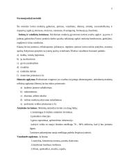 Auklėjimo metodo samprata bei klasifikacijos problema 5 puslapis