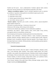 Auklėjimo metodo samprata bei klasifikacijos problema 6 puslapis