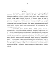 Lietuvių impresionizmas 2 puslapis