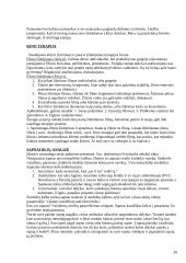 Konsultavimo socialiniame darbe teorija 20 puslapis