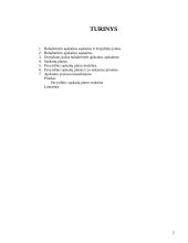 Buhalterinės sąskaitos ir dvejybinis įrašas 2 puslapis