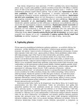 Buhalterinės sąskaitos ir dvejybinis įrašas 11 puslapis