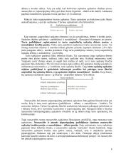 Buhalterinės sąskaitos ir dvejybinis įrašas 6 puslapis