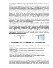 Buhalterinės sąskaitos ir dvejybinis įrašas 7 puslapis
