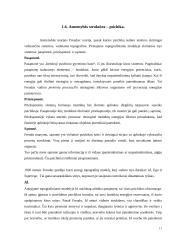 Psichikos samprata. Psichikos filogenezė. Žmogaus psichikos ypatumai 11 puslapis