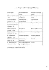 Psichikos samprata. Psichikos filogenezė. Žmogaus psichikos ypatumai 8 puslapis