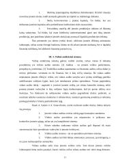 Krizės ir krizių valdymas 11 puslapis