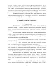 Krizės ir krizių valdymas 13 puslapis