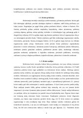 Krizės ir krizių valdymas 4 puslapis