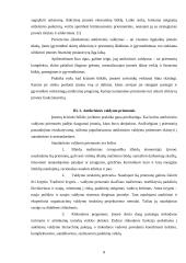 Krizės ir krizių valdymas 8 puslapis