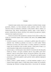 Teisiniai statybos santykiai 11 puslapis