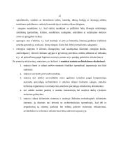 Teisiniai statybos santykiai 12 puslapis