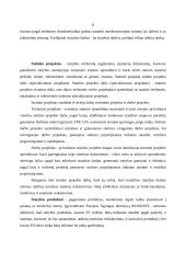 Teisiniai statybos santykiai 8 puslapis