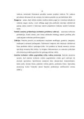 Teisiniai statybos santykiai 10 puslapis