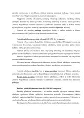 Teisinės praktikos ataskaita: antstolių kontora 2 puslapis