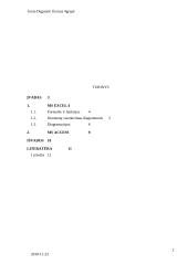 MS Excel ir MS Access taikymas ekonomikos ir vadybos mokslų studijose 2 puslapis