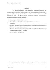 MS Excel ir MS Access taikymas ekonomikos ir vadybos mokslų studijose 3 puslapis