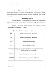 MS Excel ir MS Access taikymas ekonomikos ir vadybos mokslų studijose 4 puslapis
