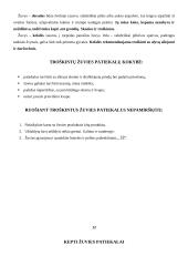 Žuvies šalti ir karšti patiekalai 13 puslapis