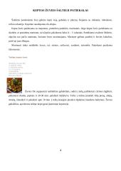 Žuvies šalti ir karšti patiekalai 5 puslapis