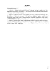 Kasybos inžinerija: purentuvas 4 puslapis