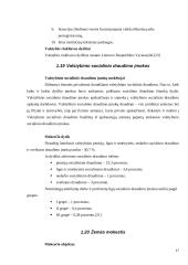 Lietuvos Respublikos (LR) mokesčių sistema ir jos įtaka verslui 17 puslapis