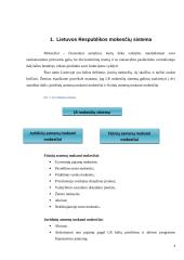 Lietuvos Respublikos (LR) mokesčių sistema ir jos įtaka verslui 4 puslapis