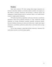 Virtualūs privatūs tinklai (VPN) 12 puslapis