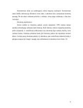 Virtualūs privatūs tinklai (VPN) 9 puslapis