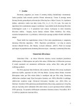 Algoritmai ir jų šifravimas 2 puslapis