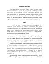 Algoritmai ir jų šifravimas 3 puslapis