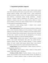 Tarptautinės prekybos ekonominiai ypatumai 2 puslapis