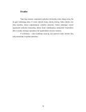 Tarptautinės prekybos ekonominiai ypatumai 16 puslapis